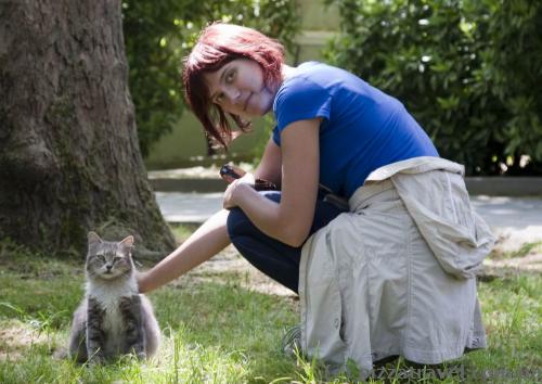 Cats are everywhere